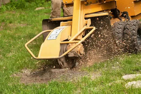 local stump removal